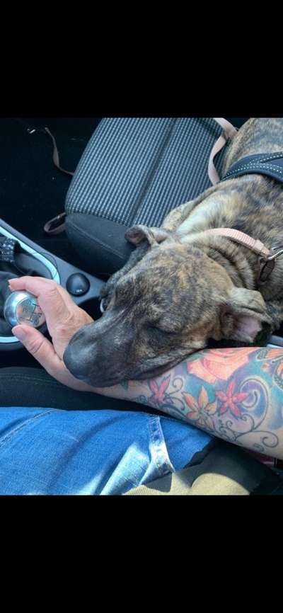 CHALLENGE NR. 18 - ON TOUR-Beitrag-Bild