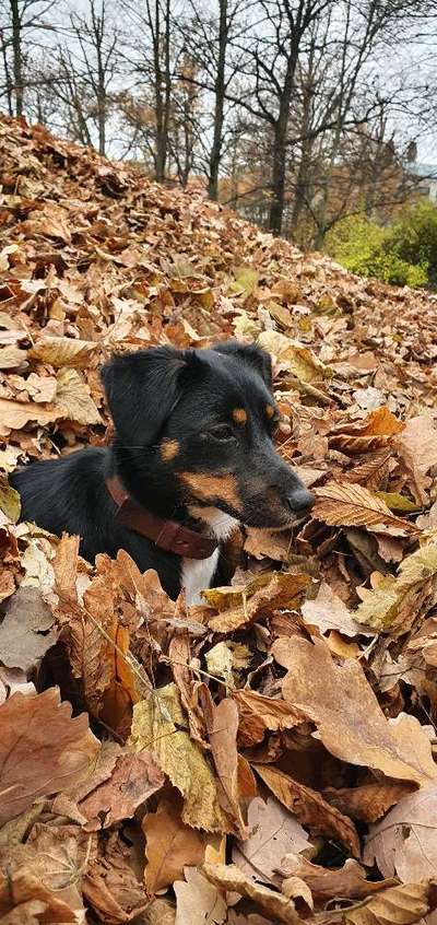 Fotochallange Nr. 57     PORTRÄT.   Beendet!!!!!!!!-Beitrag-Bild