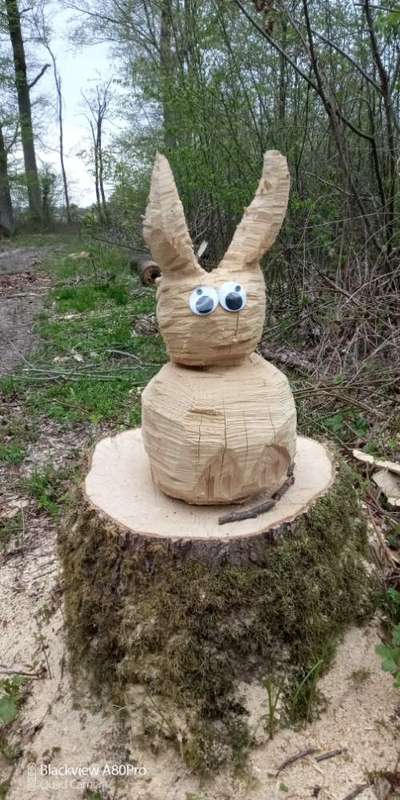 Die wunderschöne Welt mit Hund.-Beitrag-Bild