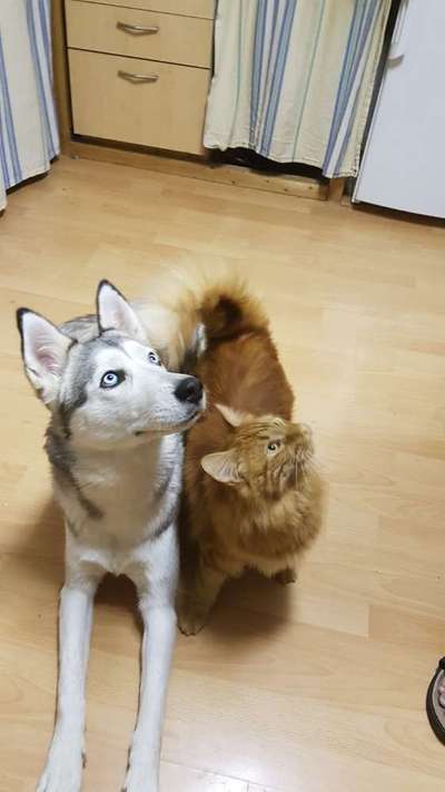 CHALLENGE Nr.17-Beitrag-Bild