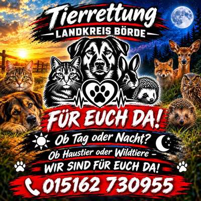 Giftköder-Giftköderverdacht-Bild