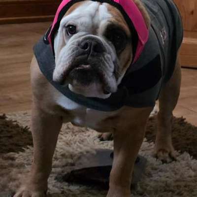 Wie habt ihr den Silvesterabend verbracht?-Beitrag-Bild