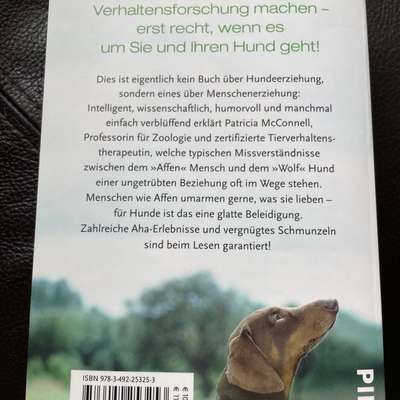 "Wege zur Freundschaft" (Ulli Reichmann)-Beitrag-Bild