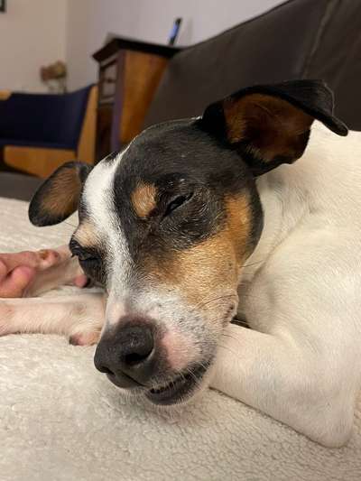 Urlaub am Laggo Maggiore-Beitrag-Bild