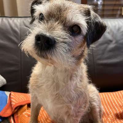 "Wege zur Freundschaft" (Ulli Reichmann)-Beitrag-Bild