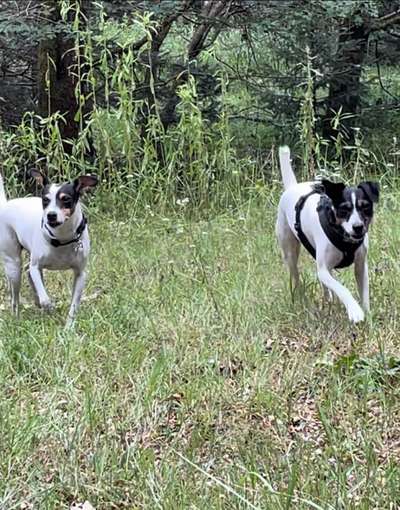 Was hat euch heute gefreut?-Beitrag-Bild