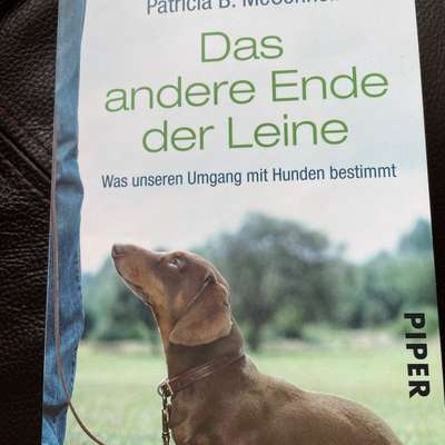 "Wege zur Freundschaft" (Ulli Reichmann)-Beitrag-Bild
