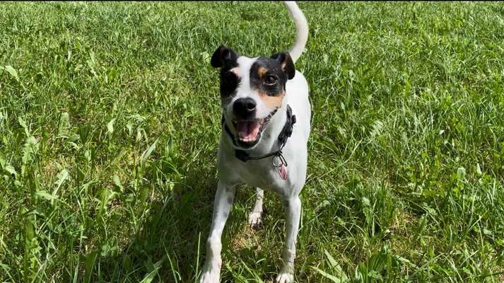 Was hat euch heute gefreut?-Beitrag-Bild