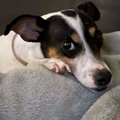 "Wege zur Freundschaft" (Ulli Reichmann)-Beitrag-Bild