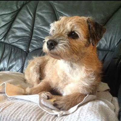 "Wege zur Freundschaft" (Ulli Reichmann)-Beitrag-Bild