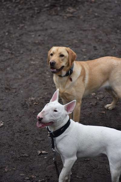 Fotochallenge 69-Beitrag-Bild