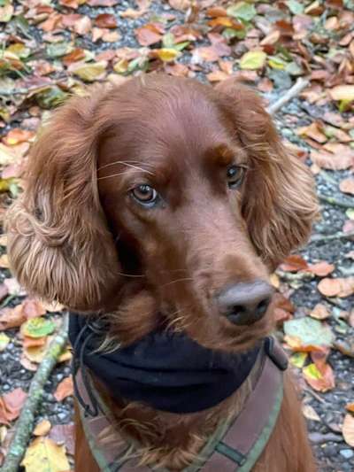 Fotochallange Nr. 57     PORTRÄT.   Beendet!!!!!!!!-Beitrag-Bild