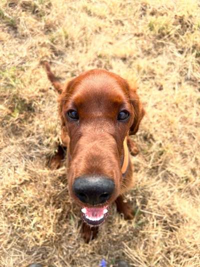 Handy-Foto Challange Nr. 10-Beitrag-Bild