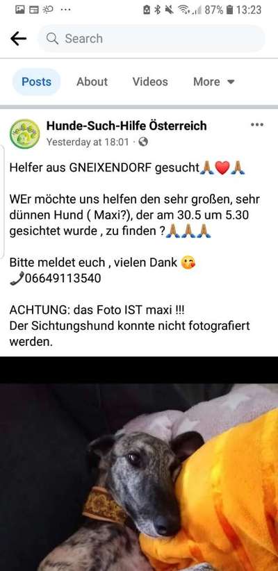 Suchmeldung-Maxi-Bild