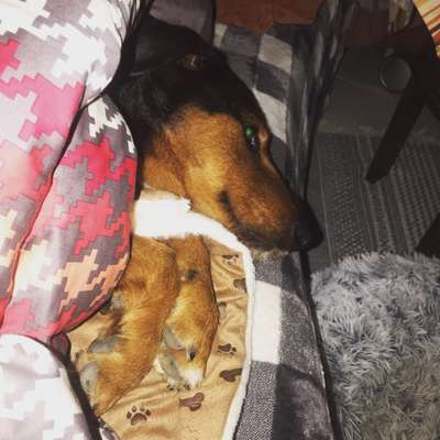 CHALLENGE NR. 34 - Liege-/Schlafpositionen-Beitrag-Bild