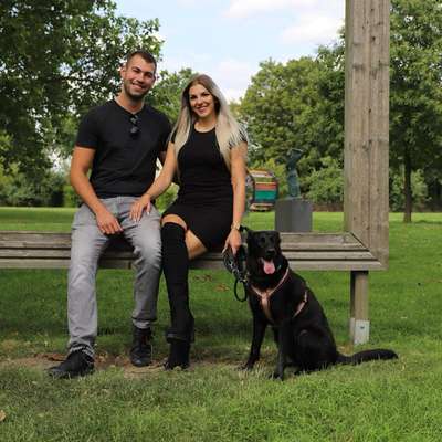 Hundetreffen-Social Walks und Spielrunden