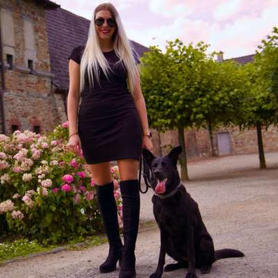 Hundetreffen-Social Walks und Spielrunden