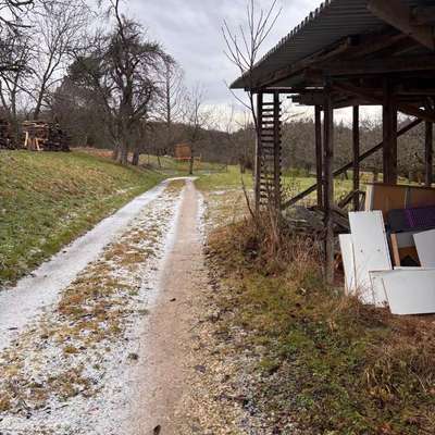 Giftköder-Eventuell Giftköder Wurststücke-Bild