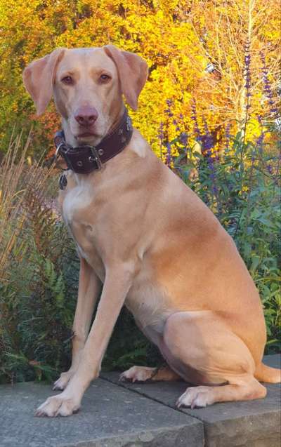 Fotochallenge No. 26                                     Wald und Wiese-Beitrag-Bild