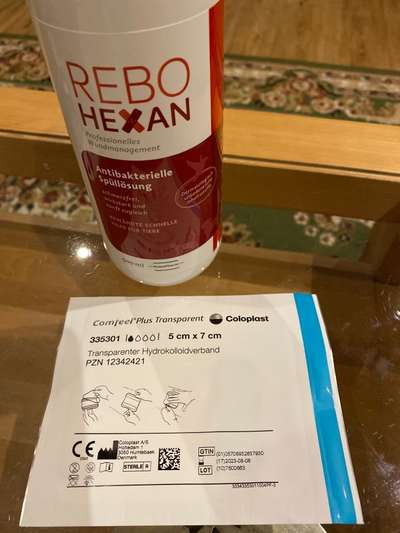 Liebhaber des Deutschen Pinscher gesucht.-Beitrag-Bild