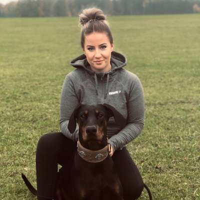 Hundetreffen-Playdate / Gassigehen / Social Spaziergänge