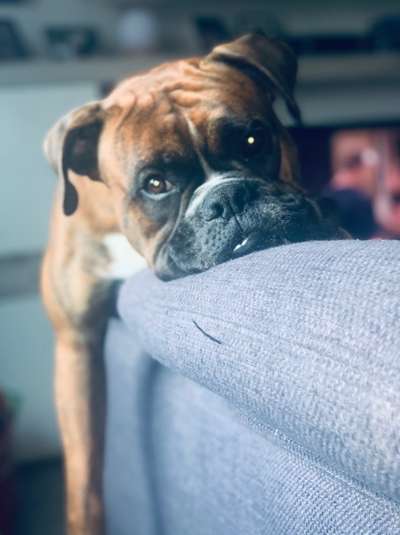 Lieblingsbild-Beitrag-Bild