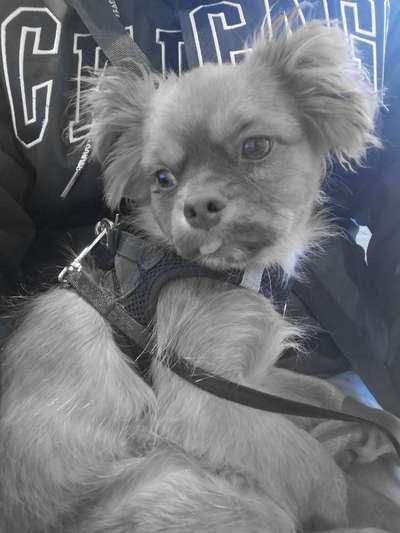 Foto-Challenge 76: Foto in Schwarz-Weiss-Beitrag-Bild