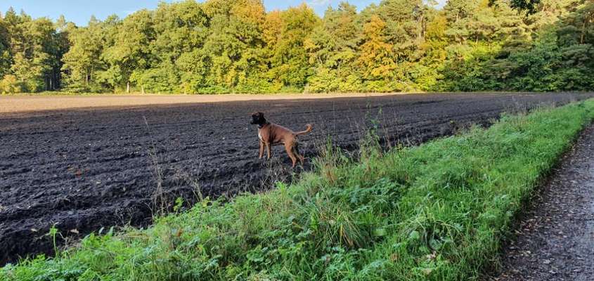 Zeigt mir eure Lieblingsfotos ♡♡-Beitrag-Bild