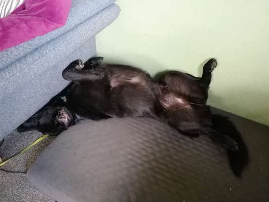 4. Lustiger Schlafplatz-Beitrag-Bild