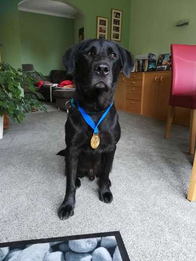 Wie heißt dein Hund?-Beitrag-Bild