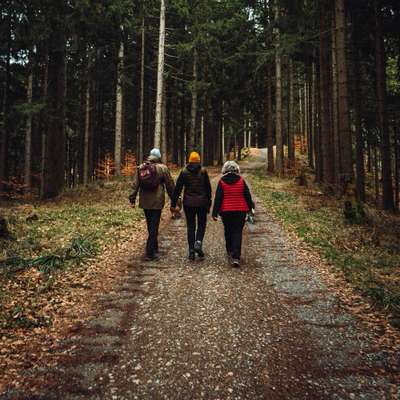 Giftköder-Social Walk-Bild