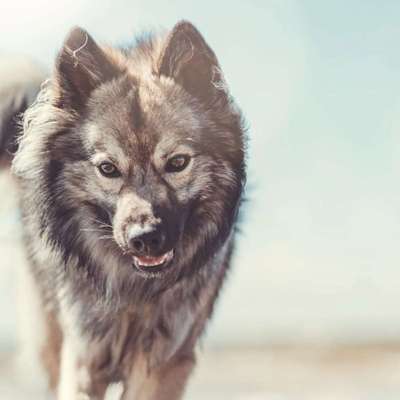 Tierfotografen-ab_photoarts-Bild