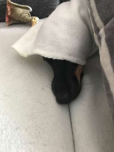 Challenge 21 - wo bin ich : )-Beitrag-Bild