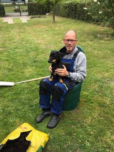 Die lustigsten Selfies mit Deinem Hund !-Beitrag-Bild