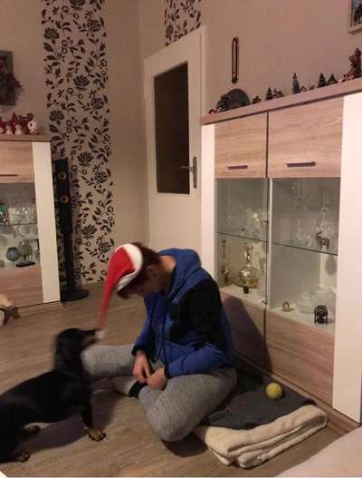 Die lustigsten Selfies mit Deinem Hund !-Beitrag-Bild