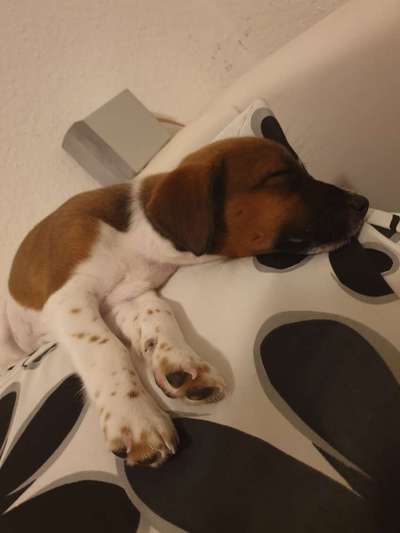 Die unbequemsten und lustigsten Schlafpositionen-Beitrag-Bild