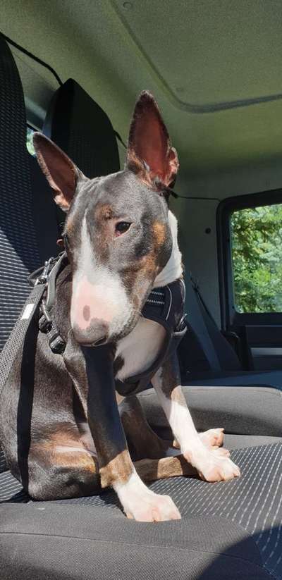 Blick fürs Detail!-Beitrag-Bild