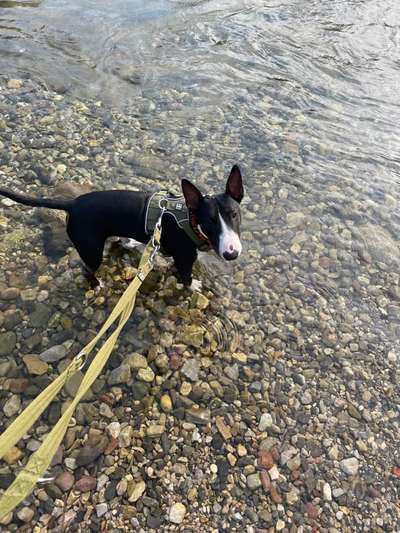 FOTOCHALLANGE NR.71 BADEFREUDE-Beitrag-Bild