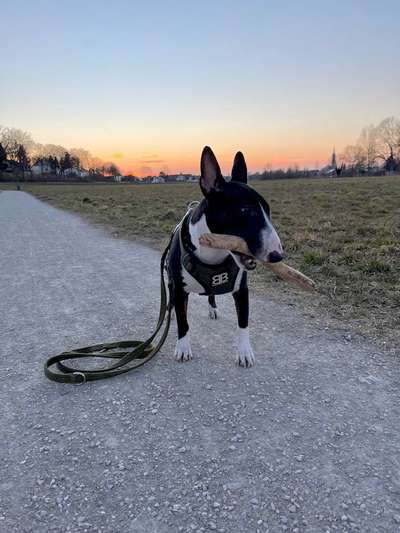 Fotowettbewerb Natur-Beitrag-Bild