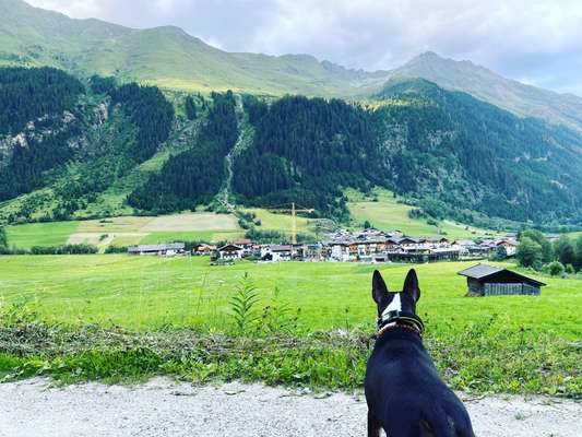 Theos  Fotochallenge Nummer 2-Beitrag-Bild