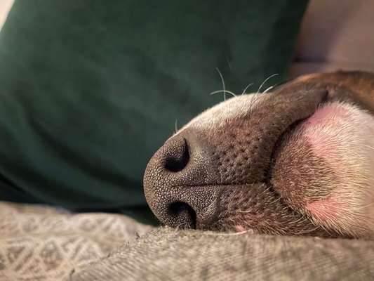 FOTO-Challenge  NR. 91: Die pure Entspannung-Beitrag-Bild