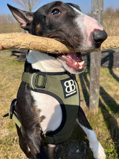 Theos Fotochallenge Nr. 3-Beitrag-Bild