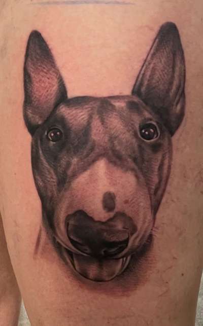 Tattoo vom Vierbeiner-Beitrag-Bild