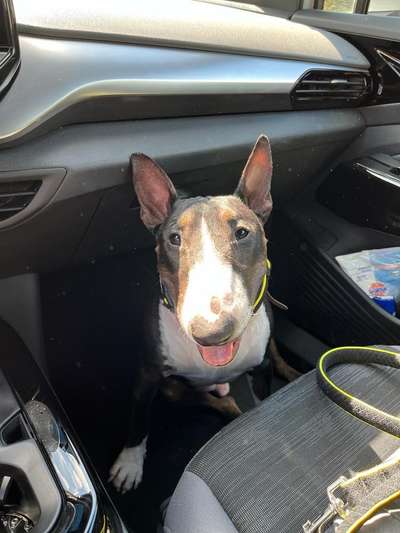 Handy-Foto Challange Nr. 10-Beitrag-Bild