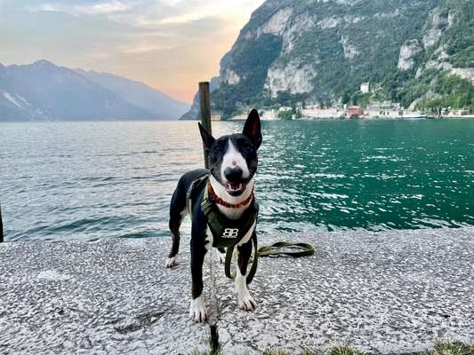 Handy-Foto-Challange Nr.9-Beitrag-Bild