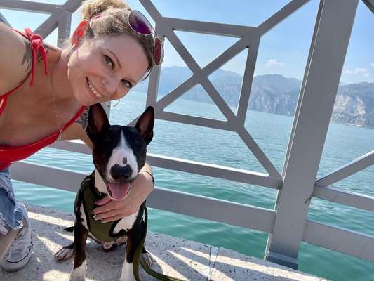 Foto-Challenge Nr. 90: Lebensfreude-Beitrag-Bild