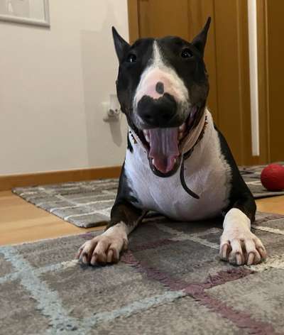 Handy-foto Challange nr. 11-Beitrag-Bild