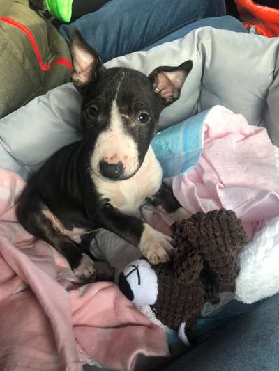 Erstes Bild-Beitrag-Bild