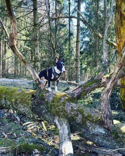 Foto Challenge Nr. 79-Beitrag-Bild