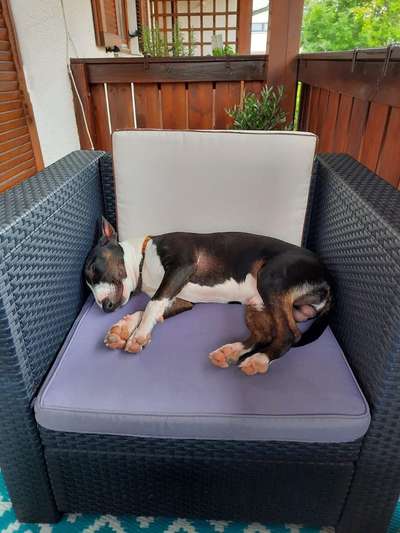 Foto Challange Nr.80-Beitrag-Bild